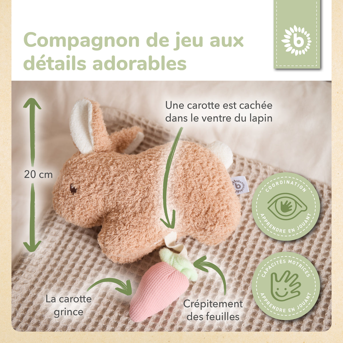 KUSCHELHASE FINE - FR Infographic
