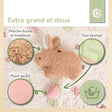 KUSCHELHASE FINE - FR Infographic