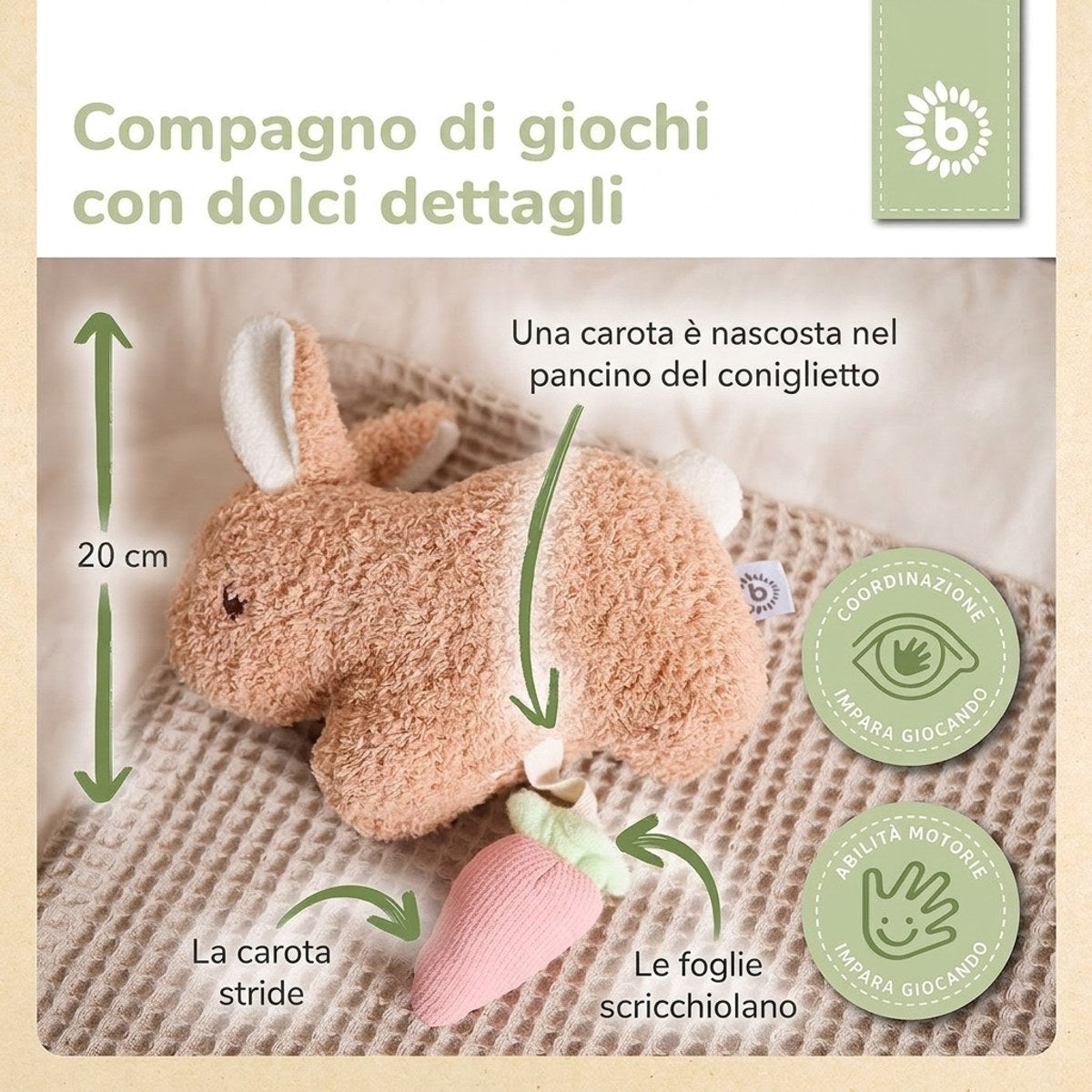 KUSCHELHASE FINE - IT Infographic