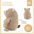 Kuscheltier Bär - FR Infographic