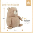 Kuscheltier Bär - FR Infographic