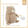 Kuscheltier Bär - FR Infographic