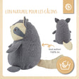 Kuscheltier Waschbär - FR Infographic