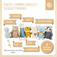 Kuscheltier Waschbär - FR Infographic