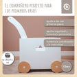 Lauflernwagen Box - ES Infographic