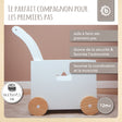 Lauflernwagen Box - FR Infographic