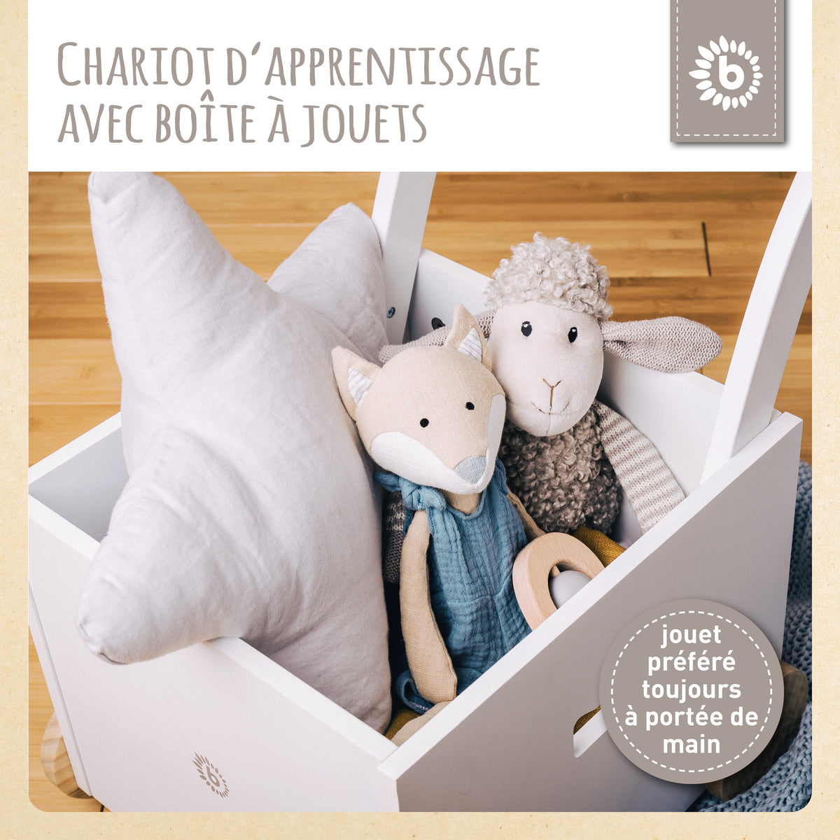 Lauflernwagen Box - FR Infographic