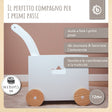 Lauflernwagen Box - IT Infographic