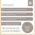 Lauflernwagen Box - IT Infographic
