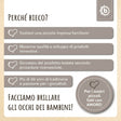 Lauflernwagen Box - IT Infographic