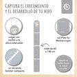 Messlatte Bär - ES Infographic