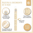 Messlatte Hase - ES Infographic