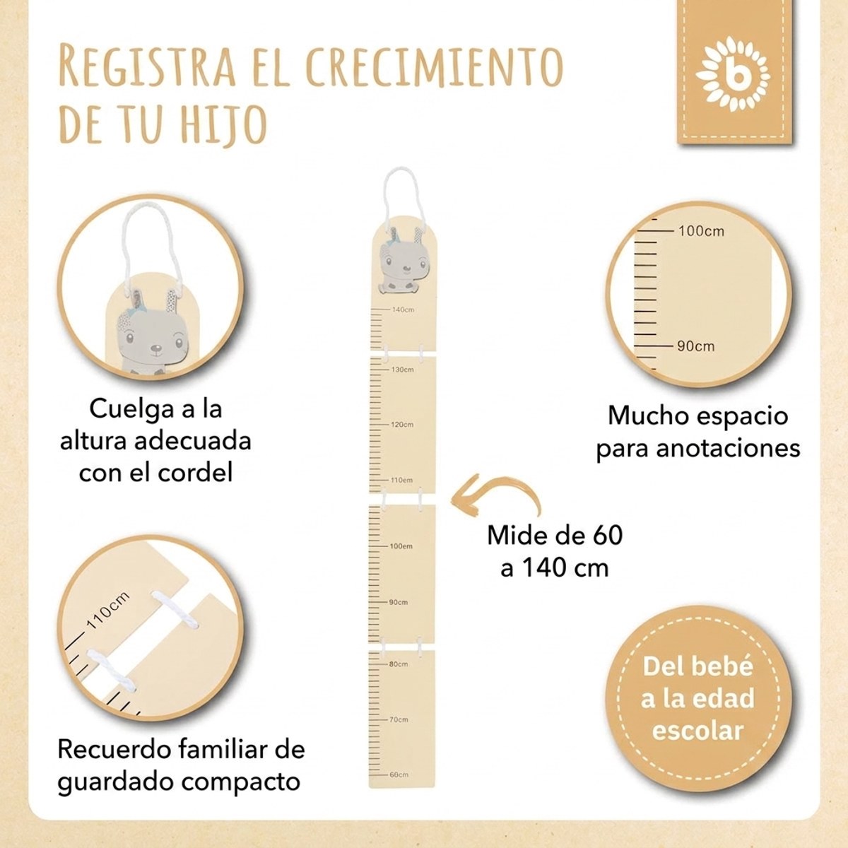 Messlatte Hase - ES Infographic