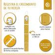 Messlatte Panda - ES Infographic