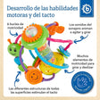 Motorik Ball - ES Infographic