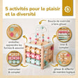 MOTORIKWÜRFEL BERRY FSC® - FR Infographic