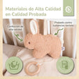 MUSIKSPIELUHR HASE FINE - ES Infographic
