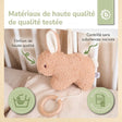 MUSIKSPIELUHR HASE FINE - FR Infographic