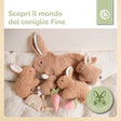 MUSIKSPIELUHR HASE FINE - IT Infographic