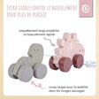 Nachzieh Dinos - FR Infographic