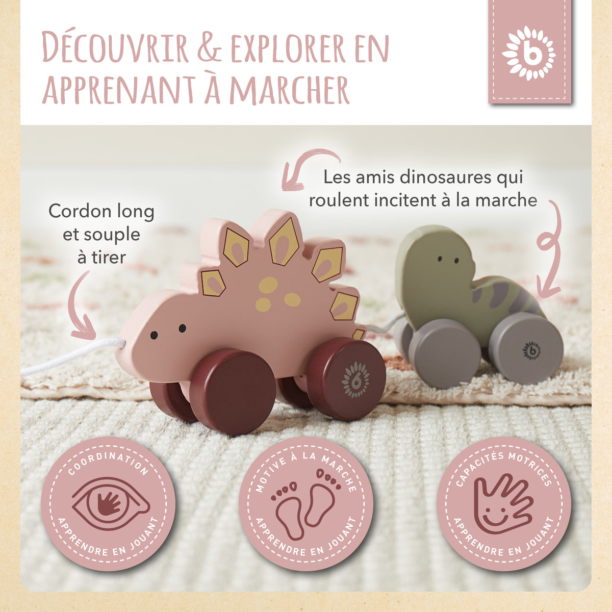 Nachzieh Dinos - FR Infographic