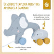 Nachzieh Elefanten - ES Infographic