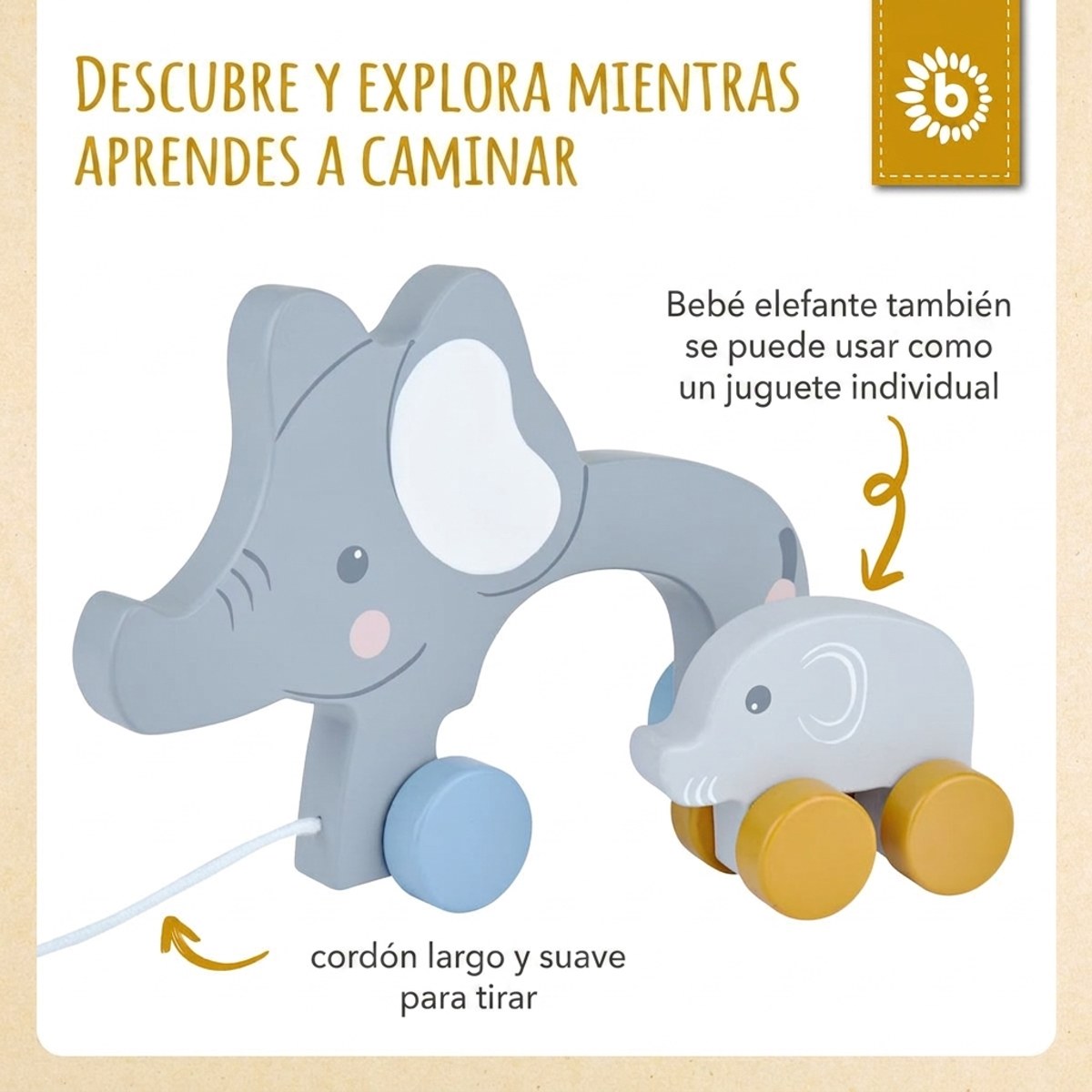 Nachzieh Elefanten - ES Infographic