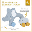 Nachzieh Elefanten - FR Infographic