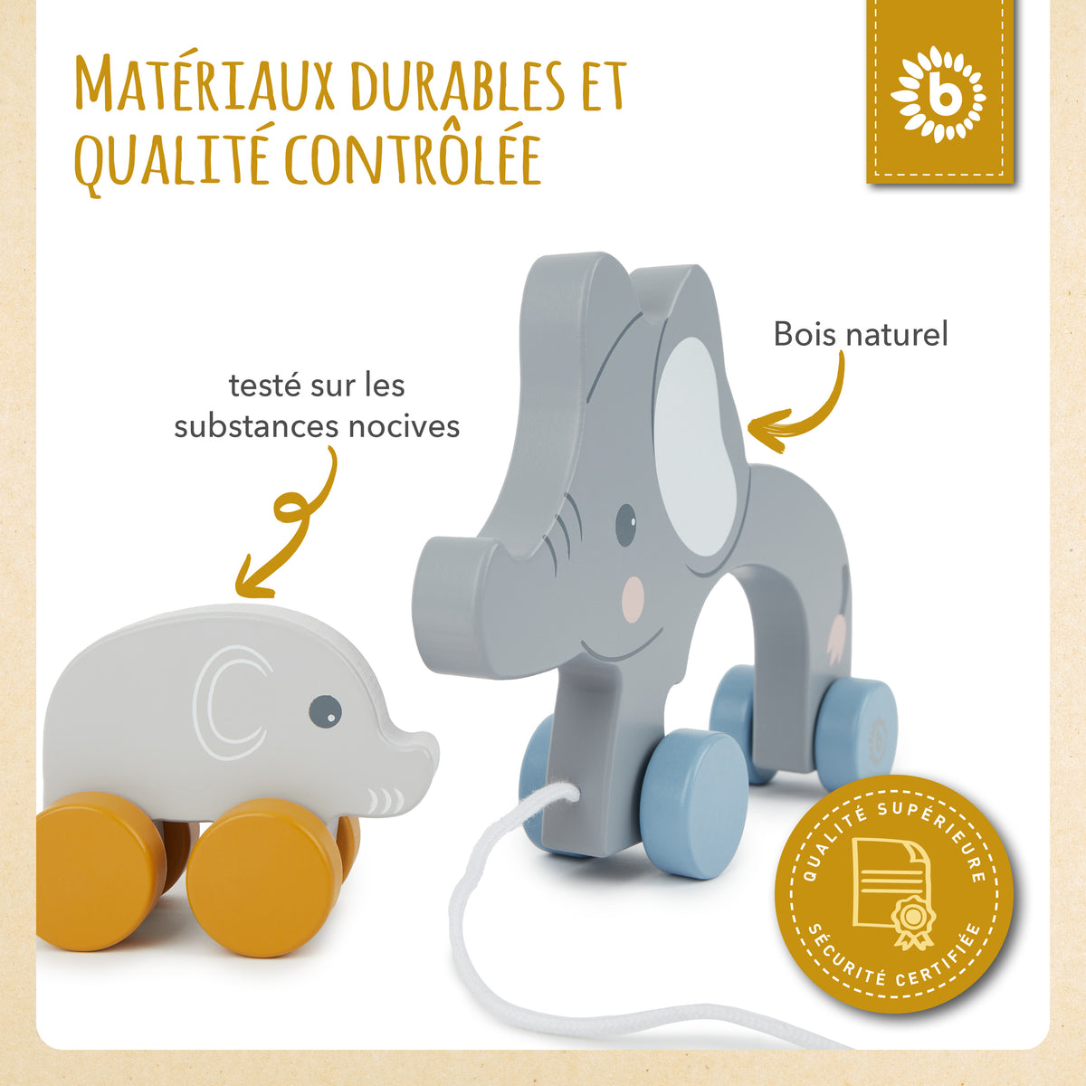 Nachzieh Elefanten - FR Infographic