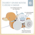 Nachzieh Ente - ES Infographic