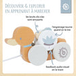 Nachzieh Ente - FR Infographic