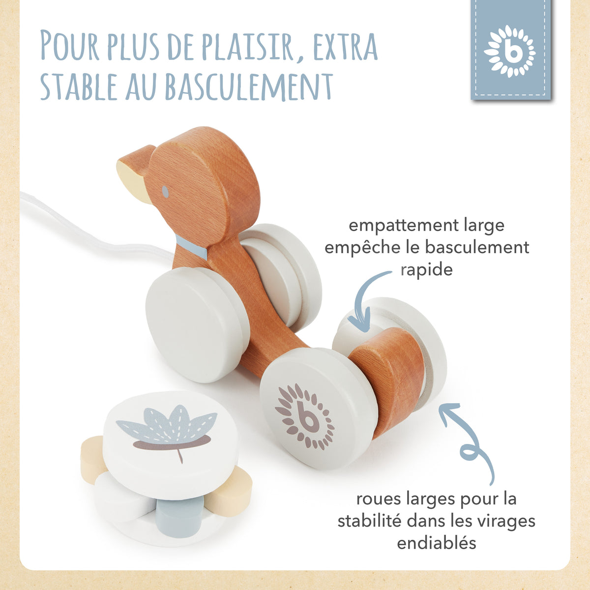 Nachzieh Ente - FR Infographic