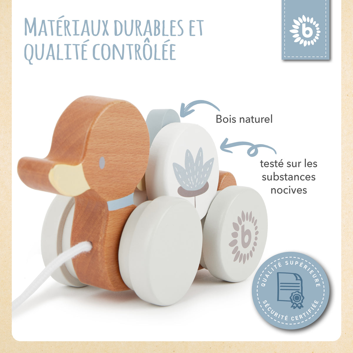 Nachzieh Ente - FR Infographic