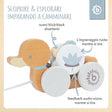 Nachzieh Ente - IT Infographic