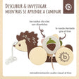 Nachzieh Igel - ES Infographic
