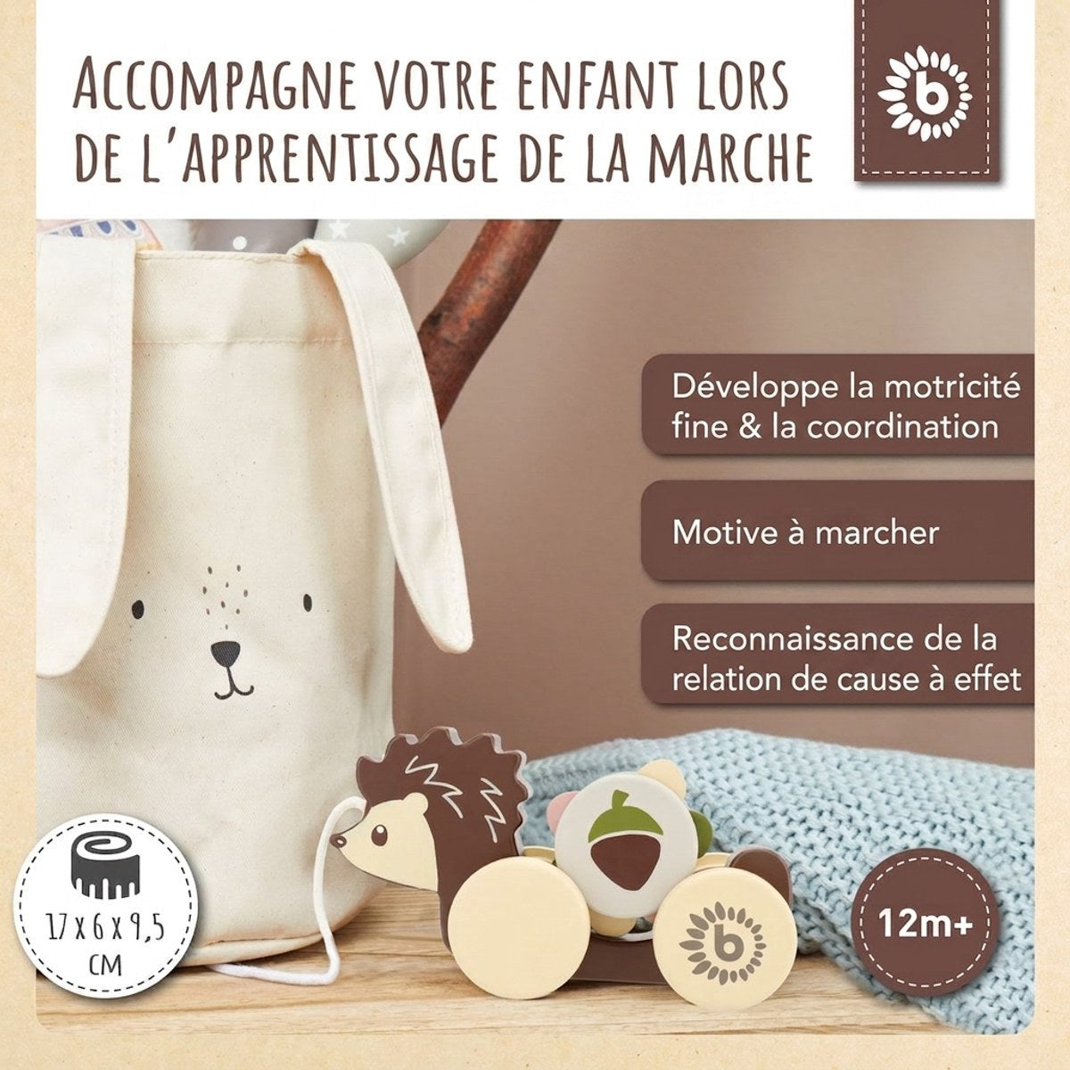 Nachzieh Igel - FR Infographic