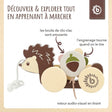 Nachzieh Igel - FR Infographic