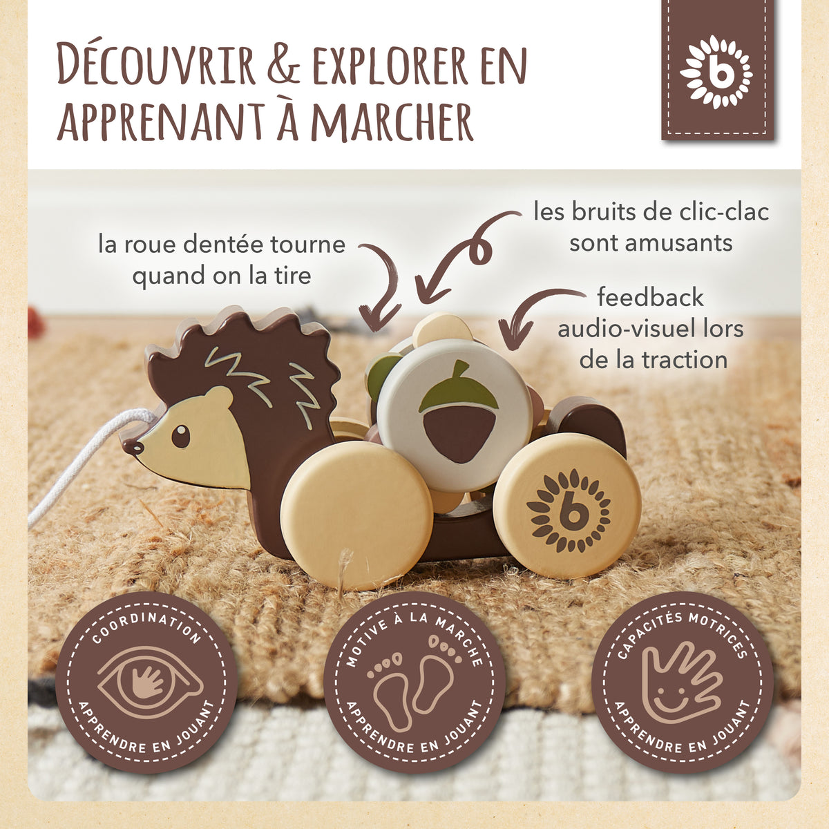 Nachzieh Igel - FR Infographic