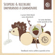Nachzieh Igel - IT Infographic