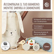 Nachzieh Reh - IT Infographic