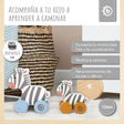 Nachzieh Zebras - ES Infographic