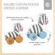 Nachzieh Zebras - ES Infographic