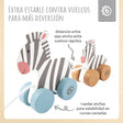 Nachzieh Zebras - ES Infographic