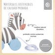 Nachzieh Zebras - ES Infographic