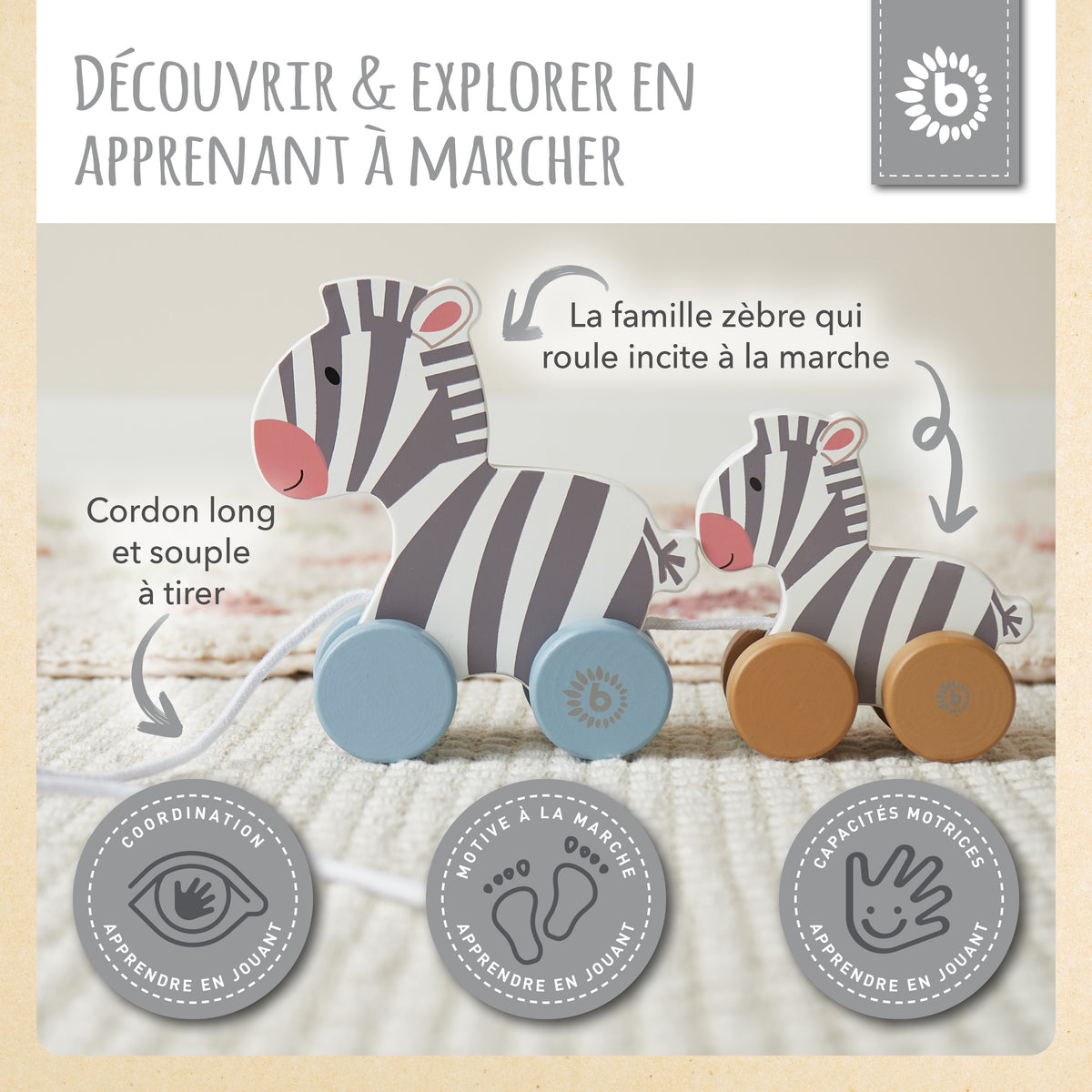 Nachzieh Zebras - FR Infographic