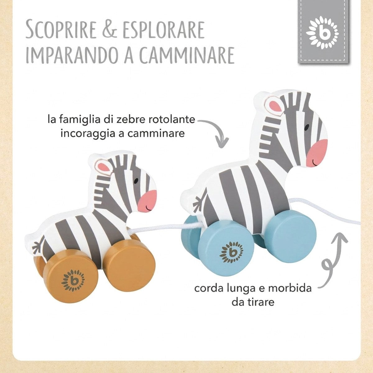 Nachzieh Zebras - IT Infographic