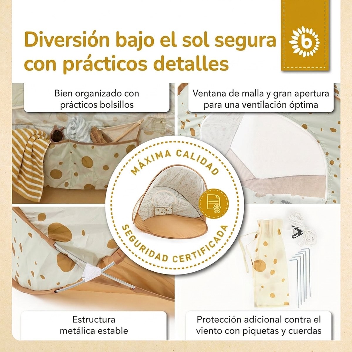 POP UP STRANDMUSCHEL DOTS - ES Infographic