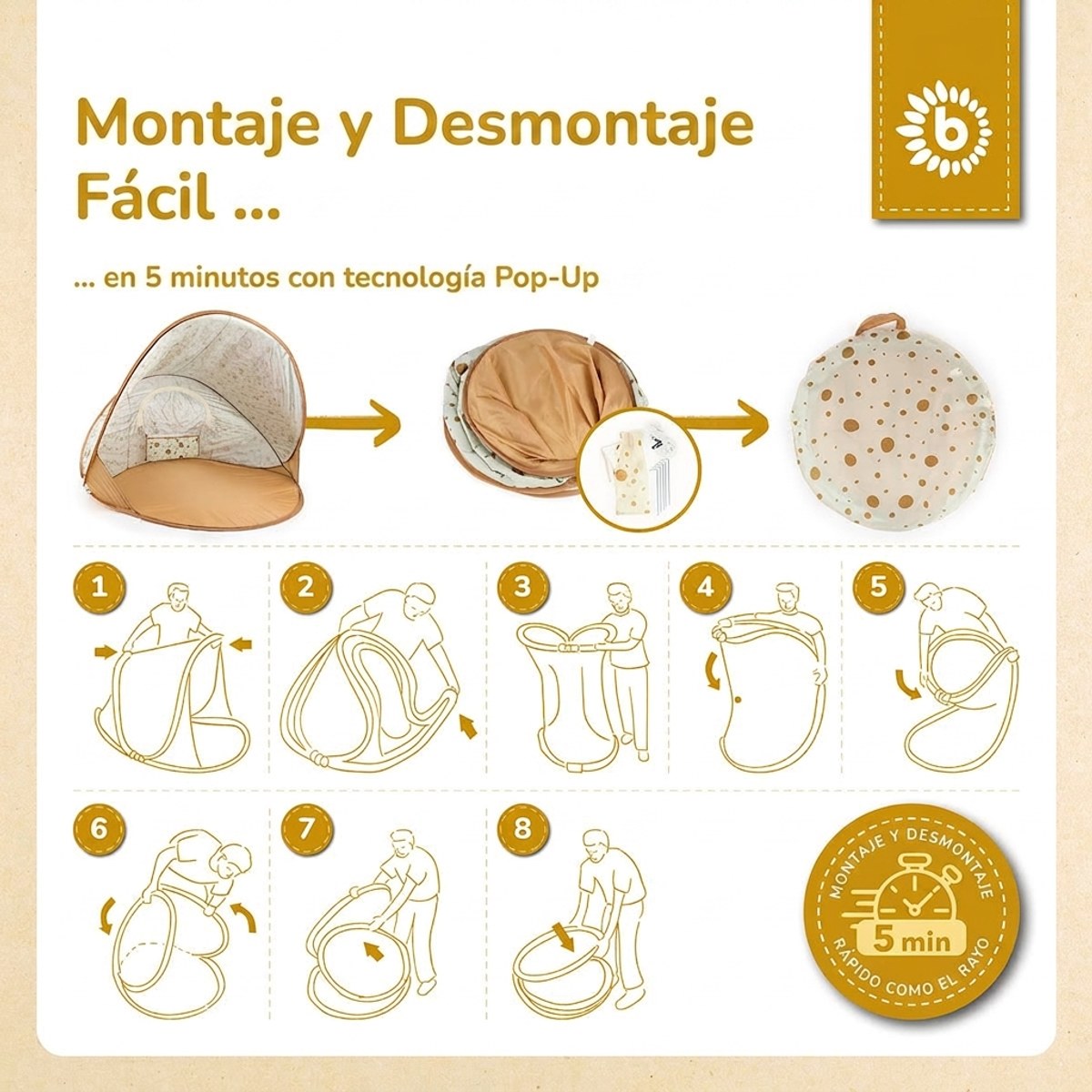 POP UP STRANDMUSCHEL DOTS - ES Infographic