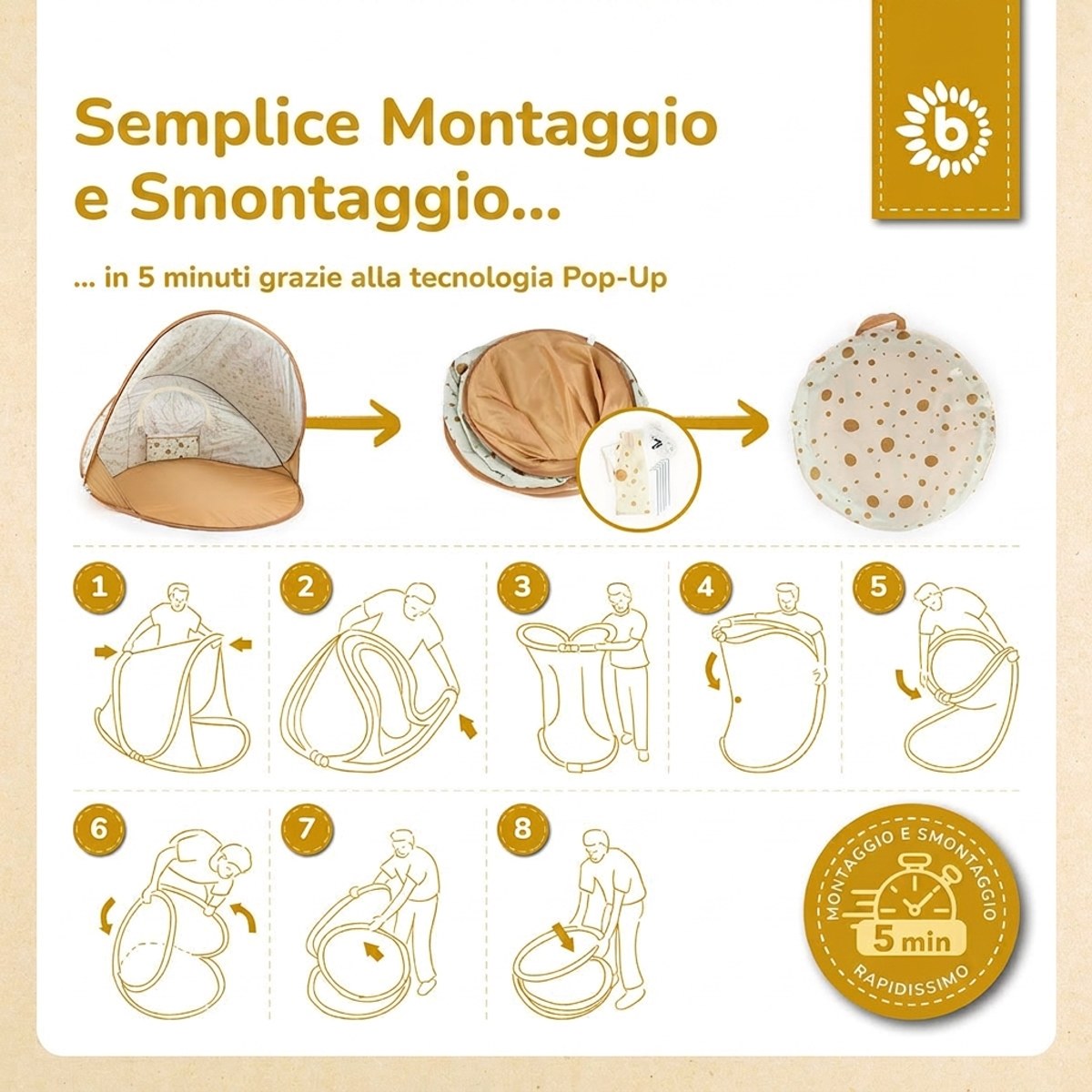 POP UP STRANDMUSCHEL DOTS - IT Infographic
