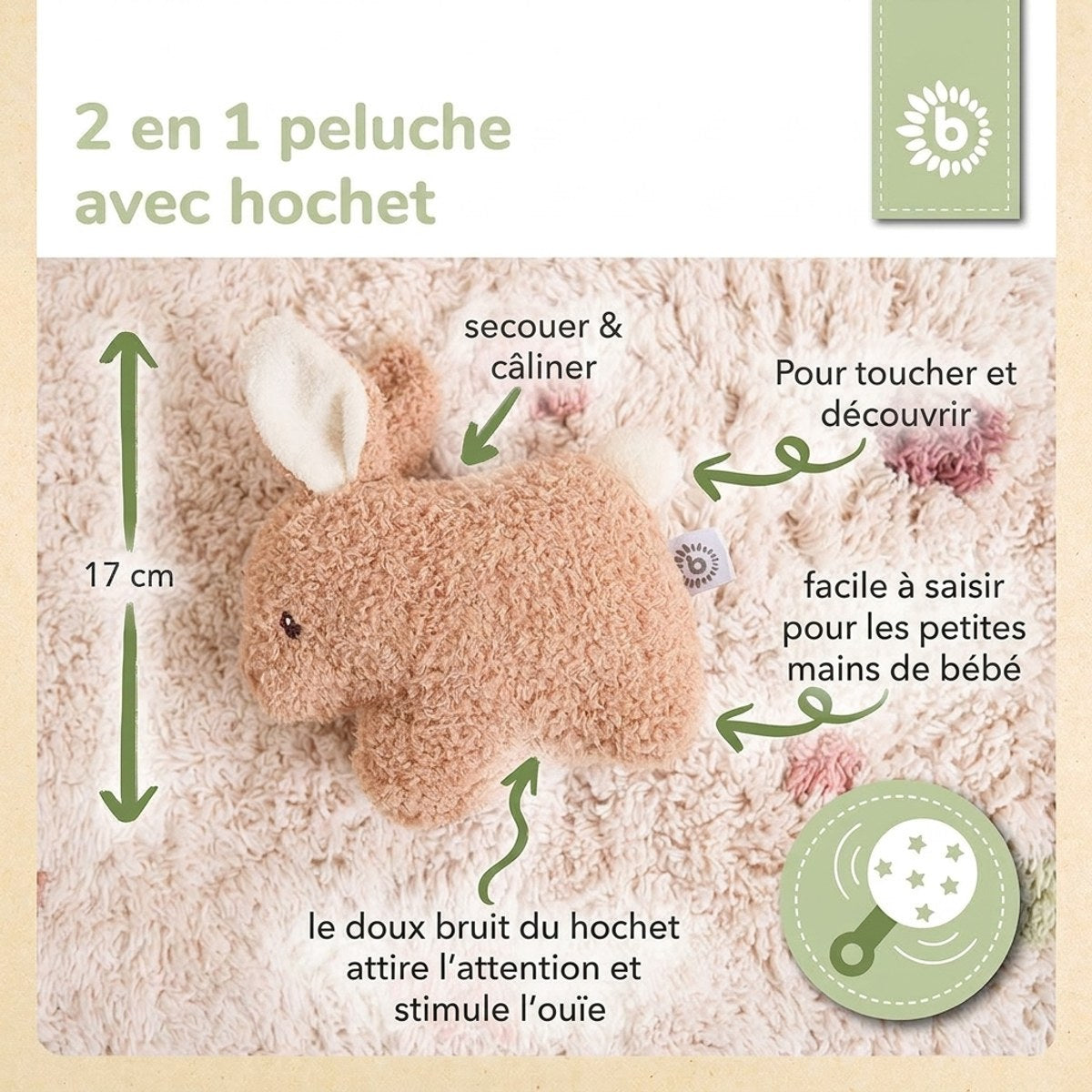 RASSEL HASE FINE - FR Infographic